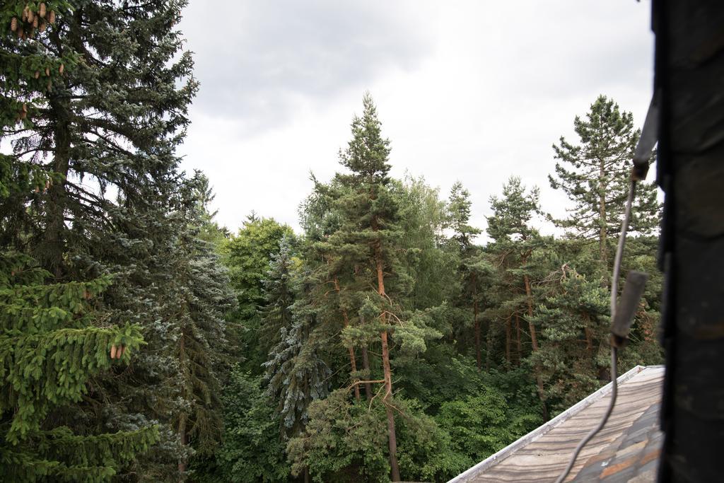 Villa Augustusberg Petrovice  Ngoại thất bức ảnh